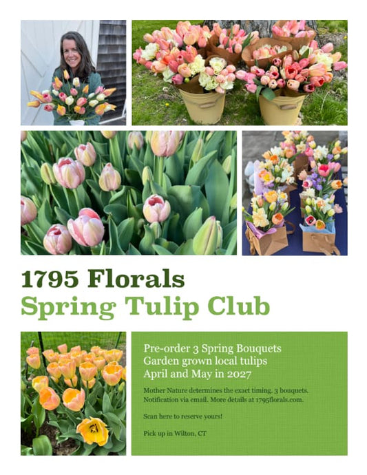 Promotional flyer for the 1795 Florals Spring Tulip Club, featuring a collage of spring tulip blooms in baskets, fields of pink tulips, and yellow tulips, with text inviting members to pre-order spring bouquets.