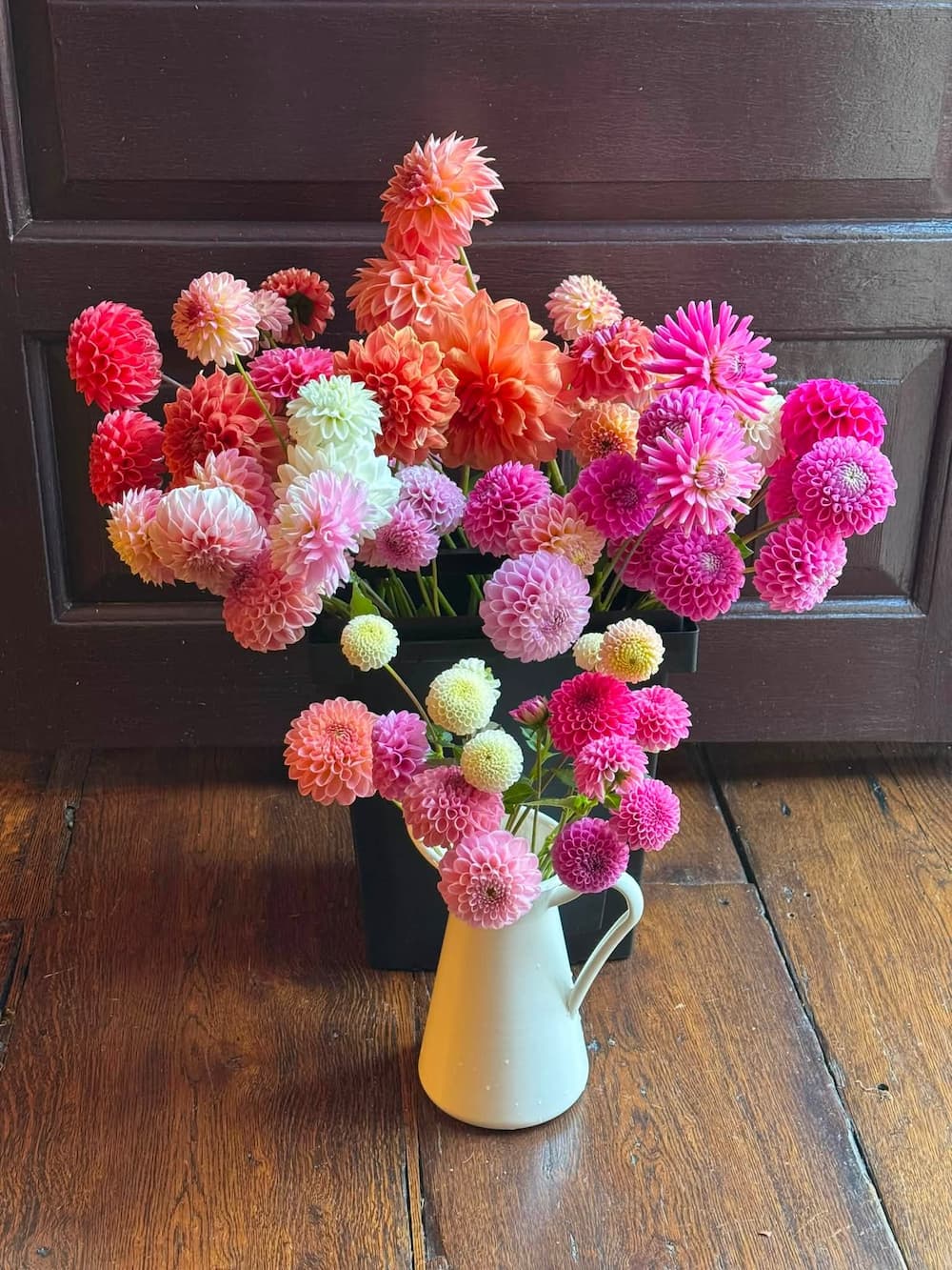 A vibrant bouquet of multicolored dahlia flowers in shades of pink, red, orange, and cream, arranged in a white ceramic pitcher vase on a rustic wooden floor in front of a dark wood paneled door. Dahlias from 1795 Florals in Wilton, CT